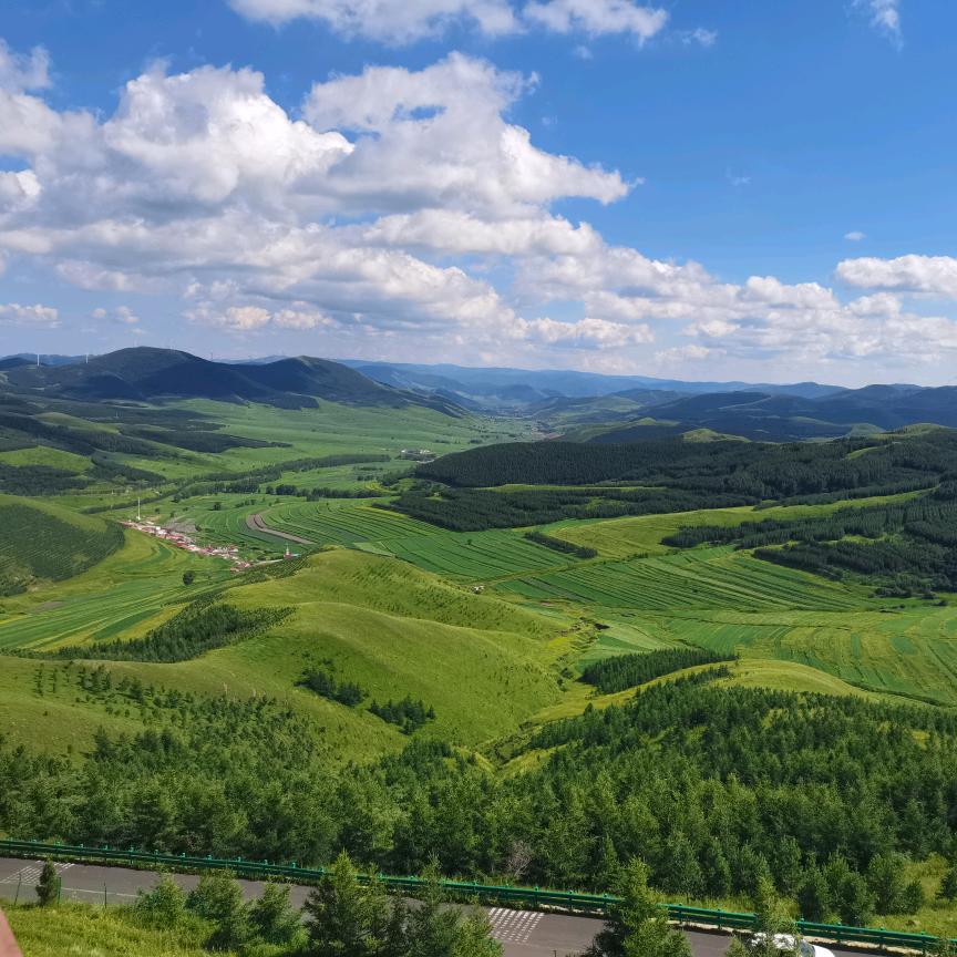 专业生产人民币