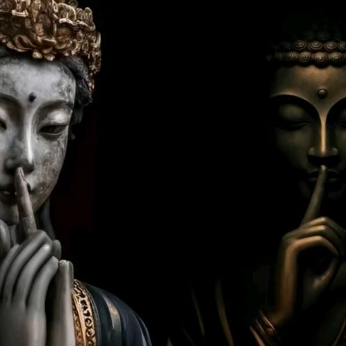 丈母娘不吃黄瓜版