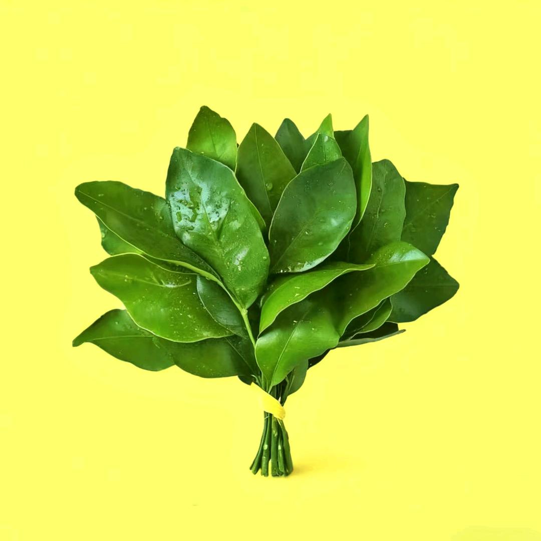 A💄  .  X-beginning