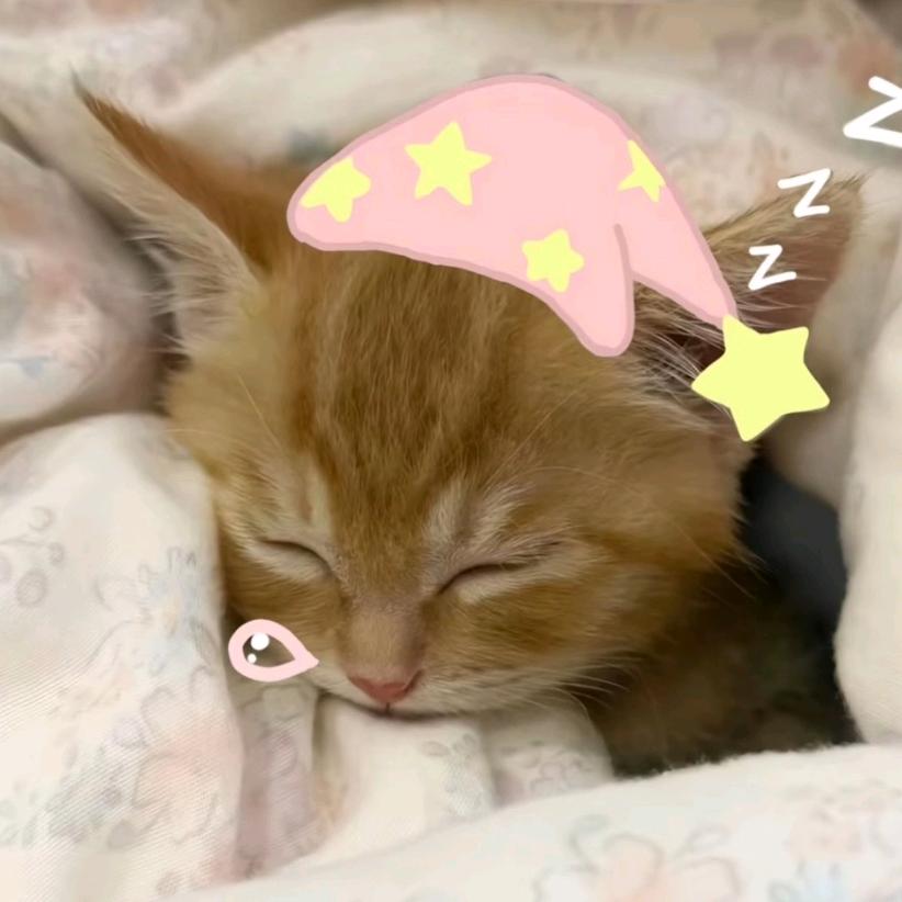 Dreamboat-