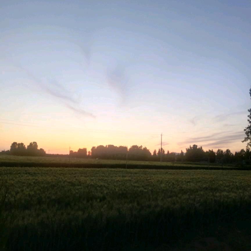 浮生不过梦一场