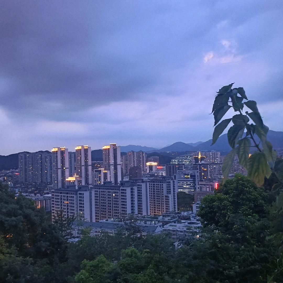 雯子优选2