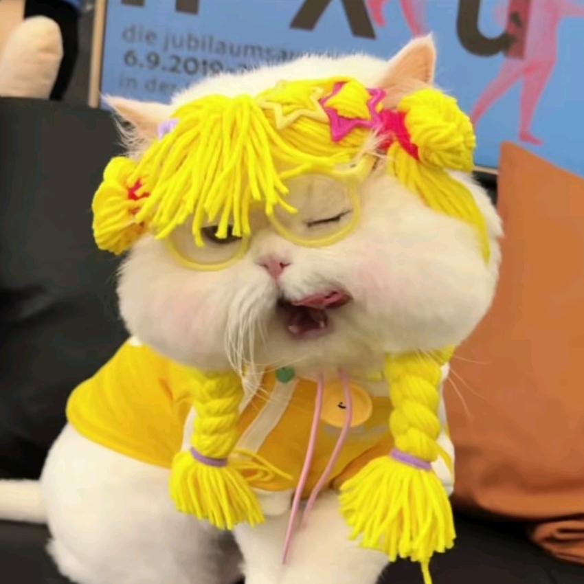 云雾