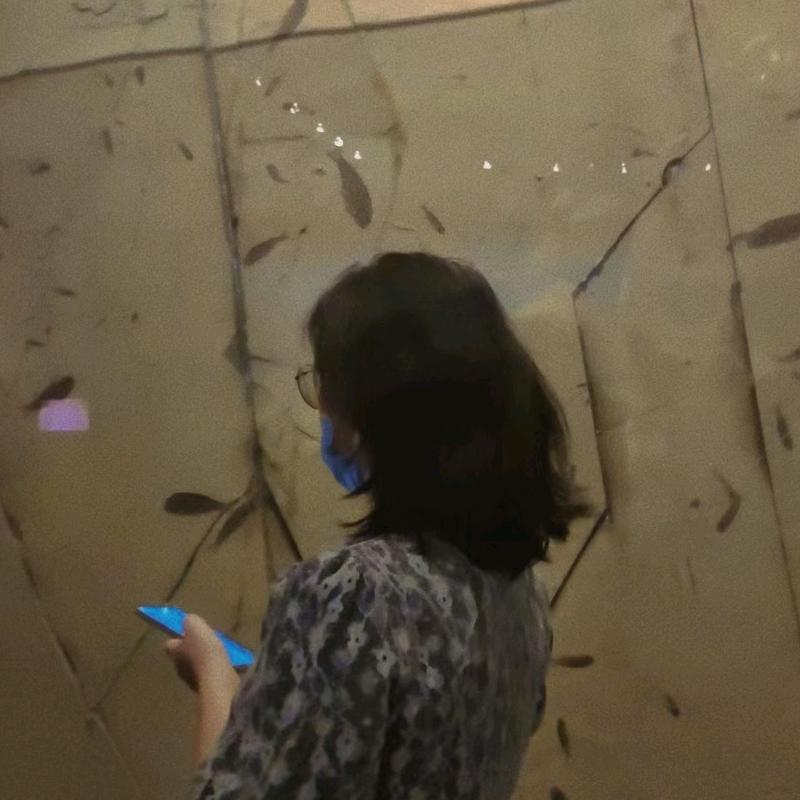 三吉吉来了