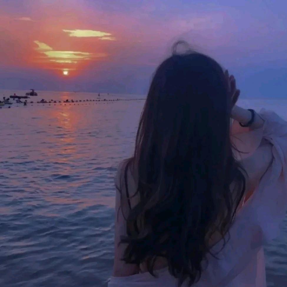 倘若南风知我意