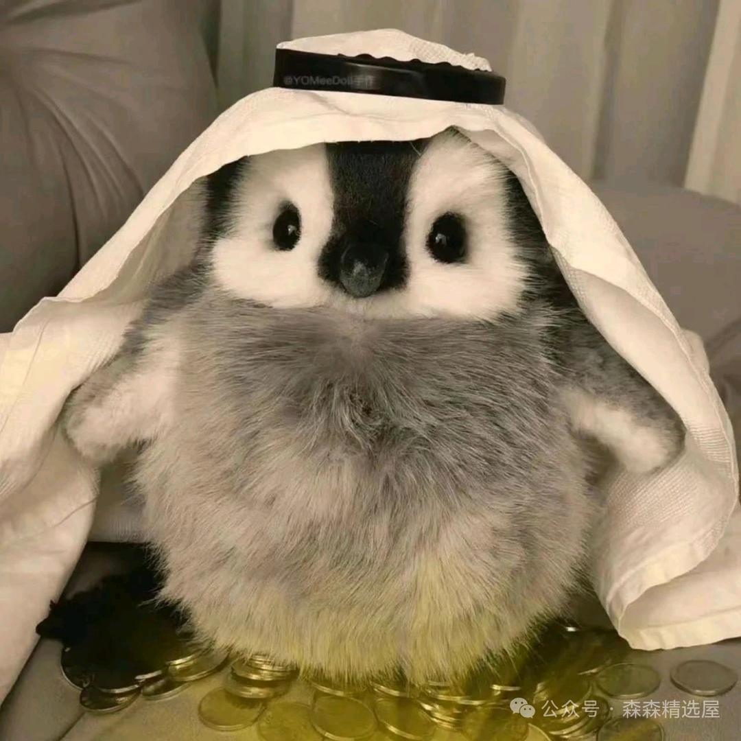 Q-Q