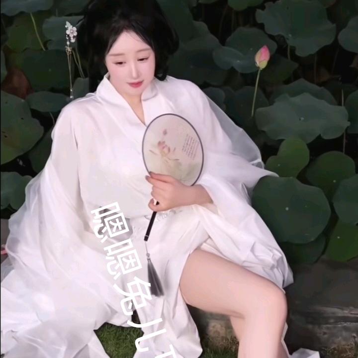 （禁修心）茶兔