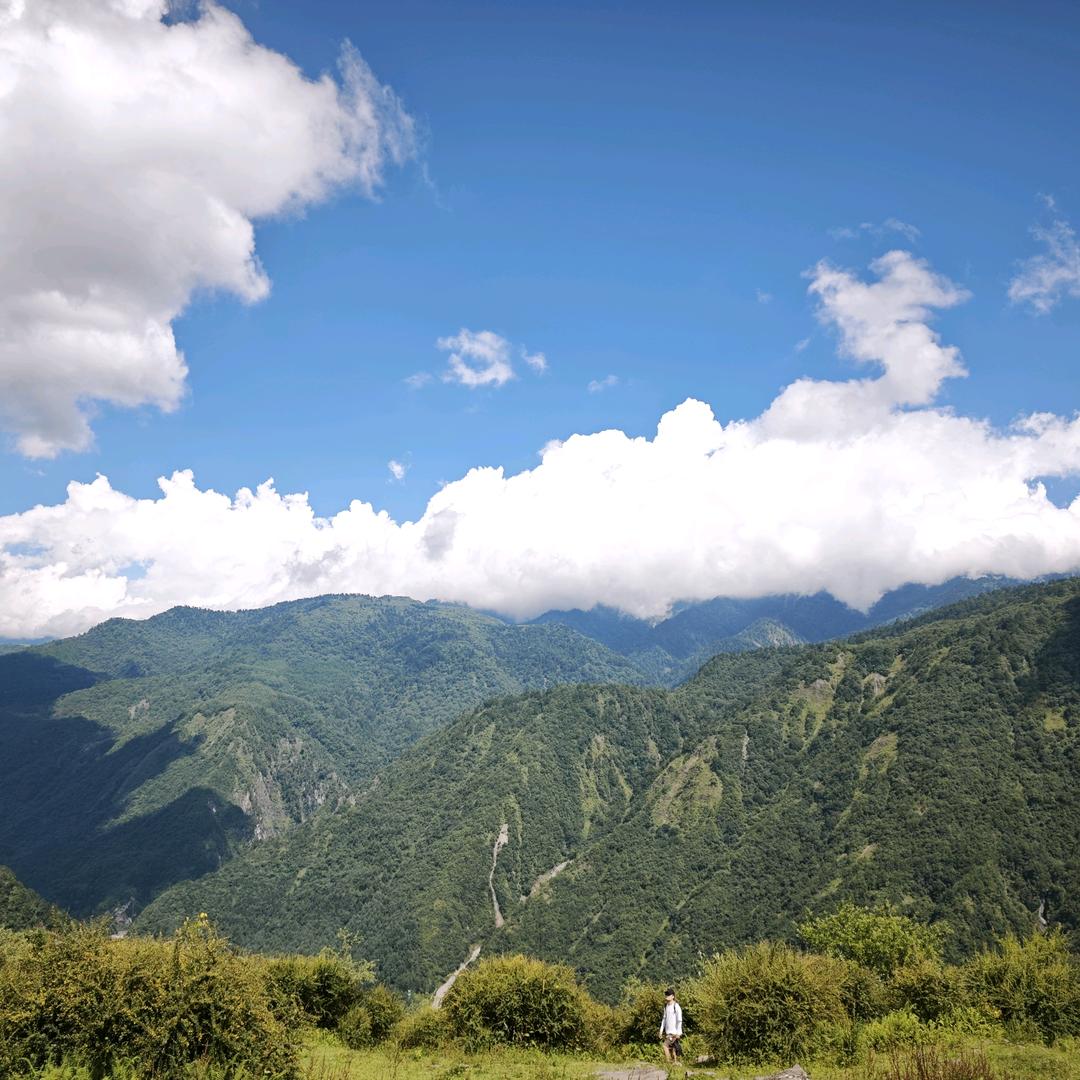 小米粥