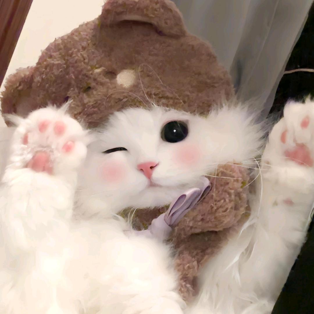˶>ᴗoಣ bb