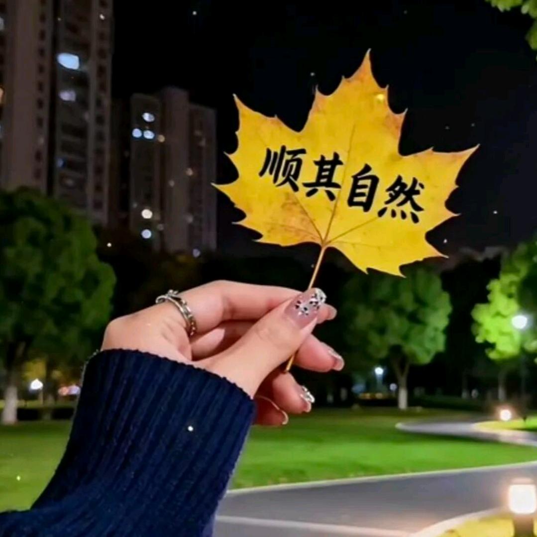 老鼠爱大米🌻