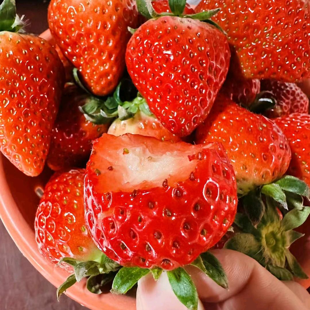 陪伴哥社区团购