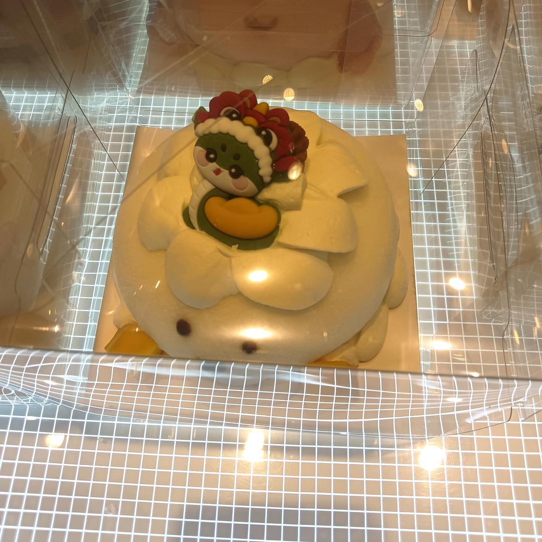 岚山东方金字塔艺术学校