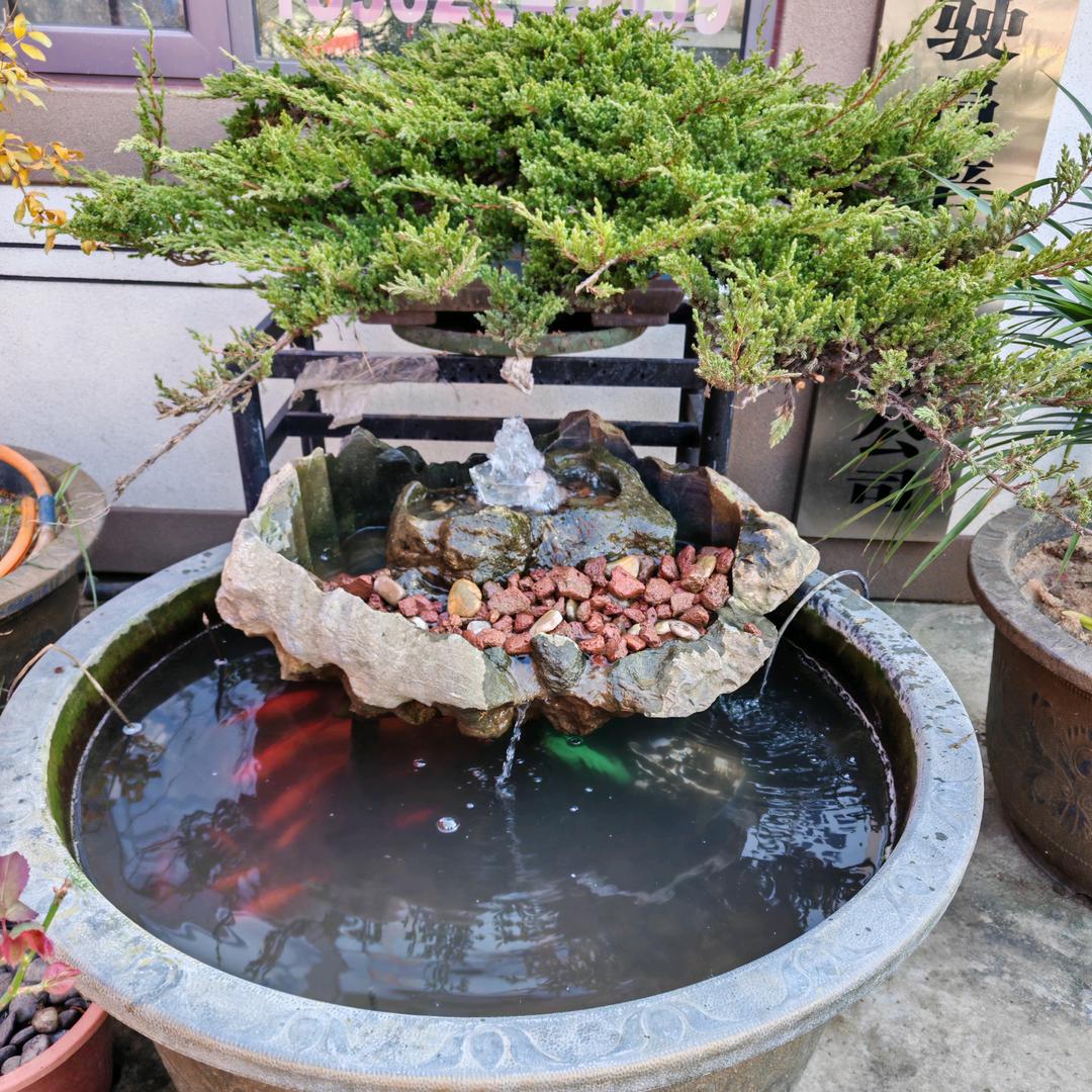 新沂市平安驾校1