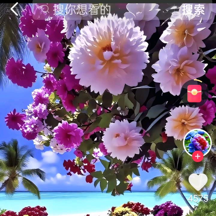 春天里的小燕子