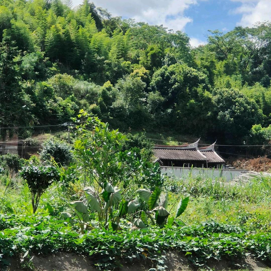 上海吉述会展服务有限公司