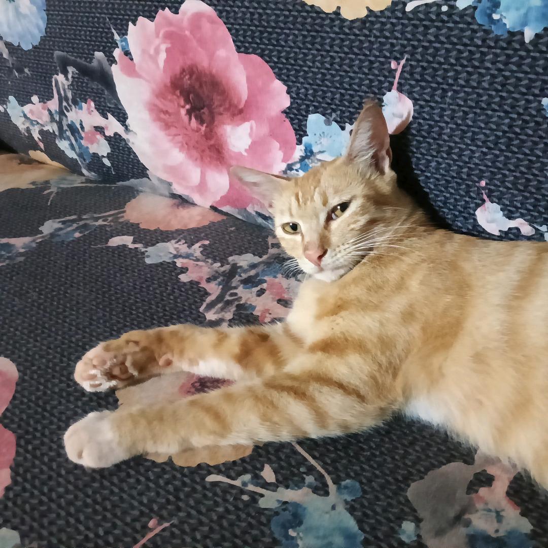 记录普通乡村生活