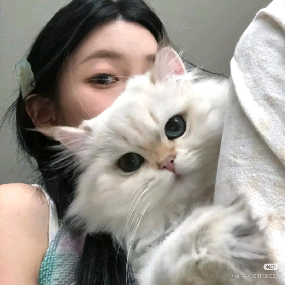 ᙏ̤橘子海♡