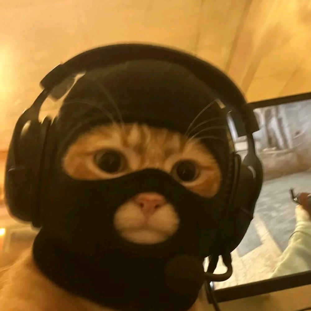 凯先生