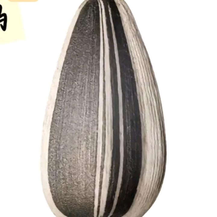 瓜子大帝