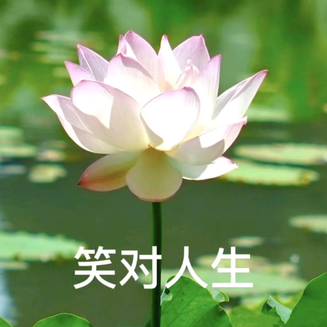 吨吨吨协会会长