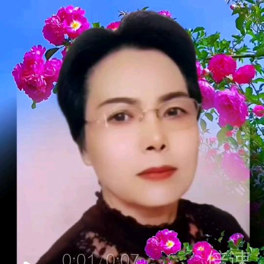 舞动蝶飞