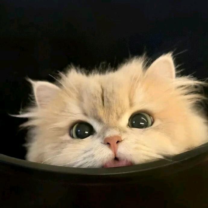 呓语