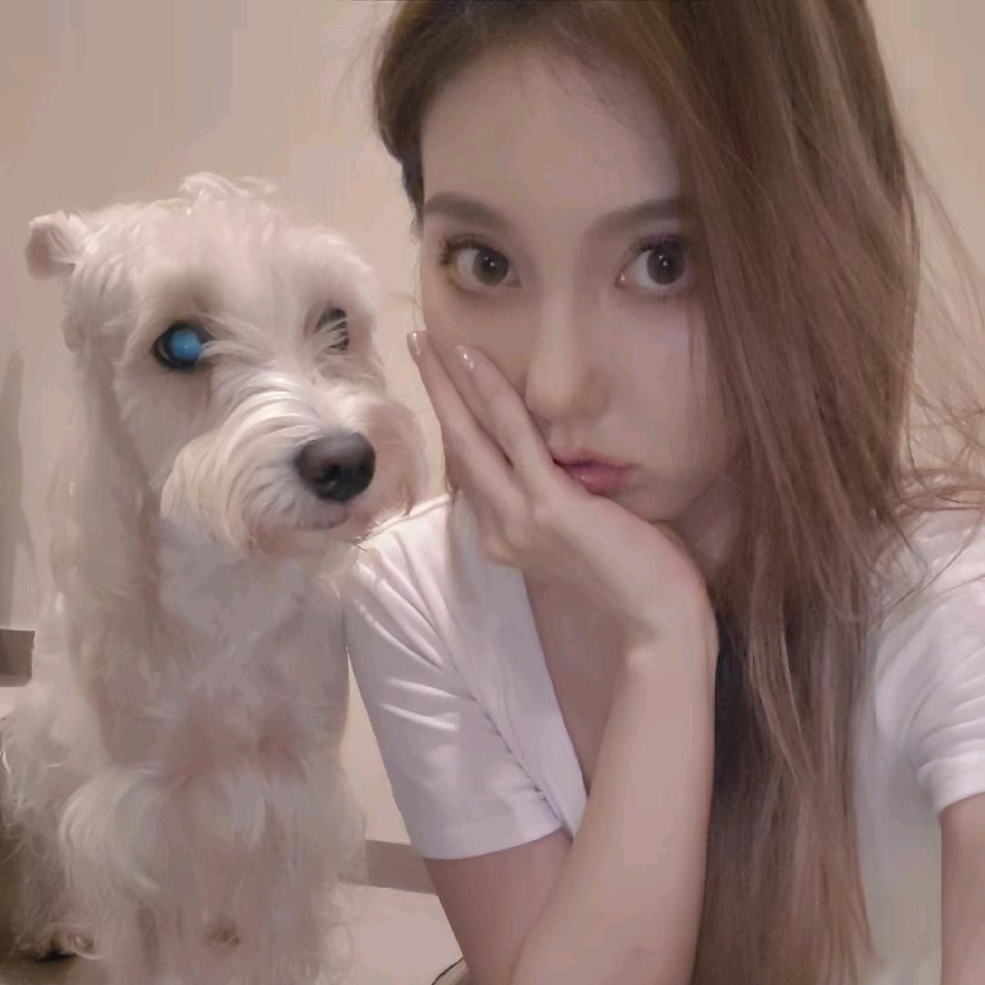 夏夏XIAXIA（坚持日更