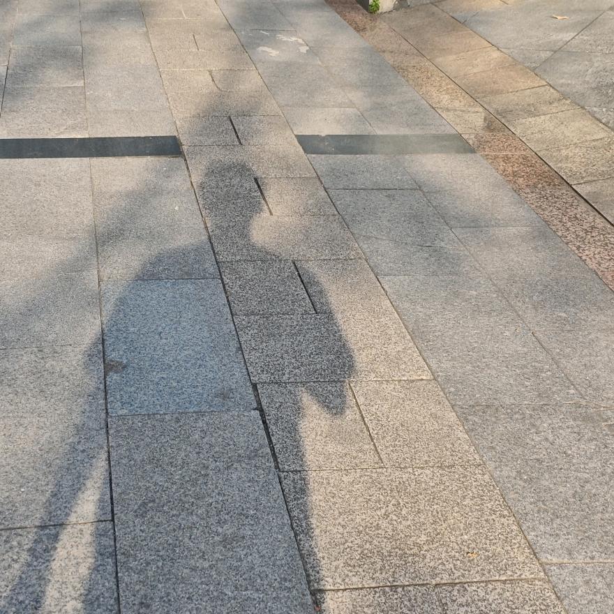 将军