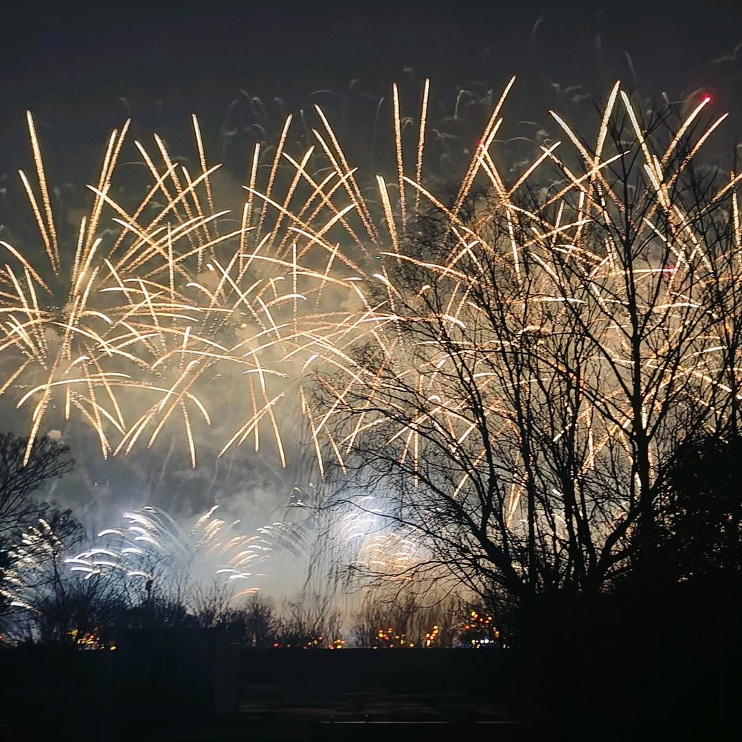 向阳生活ƪ(˘⌣˘)ʃ优雅