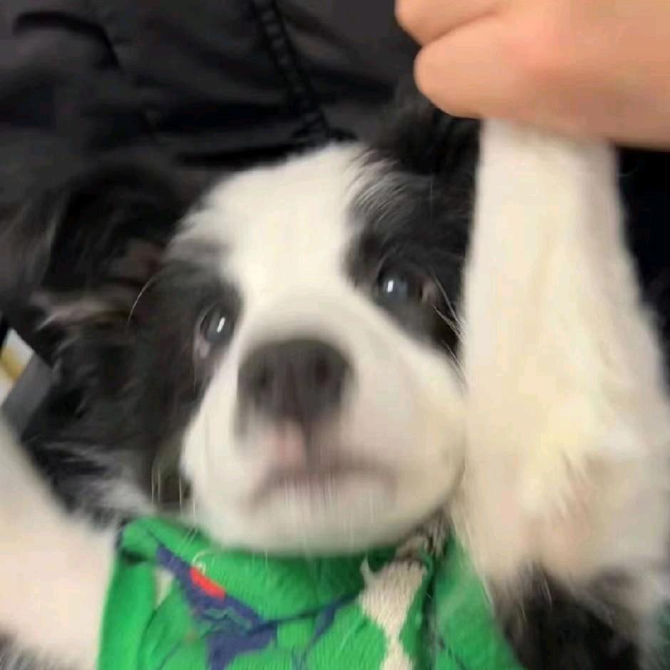 12123