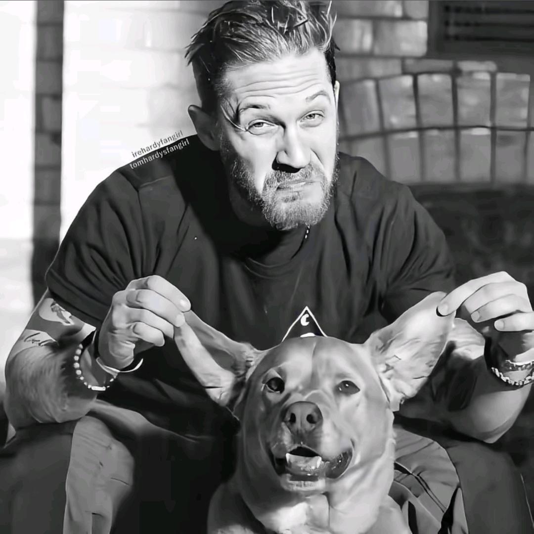 西安八方【伴价】名车