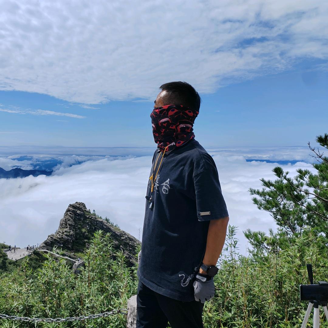 陆峰头像