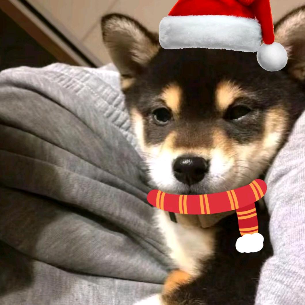 楠瓜
