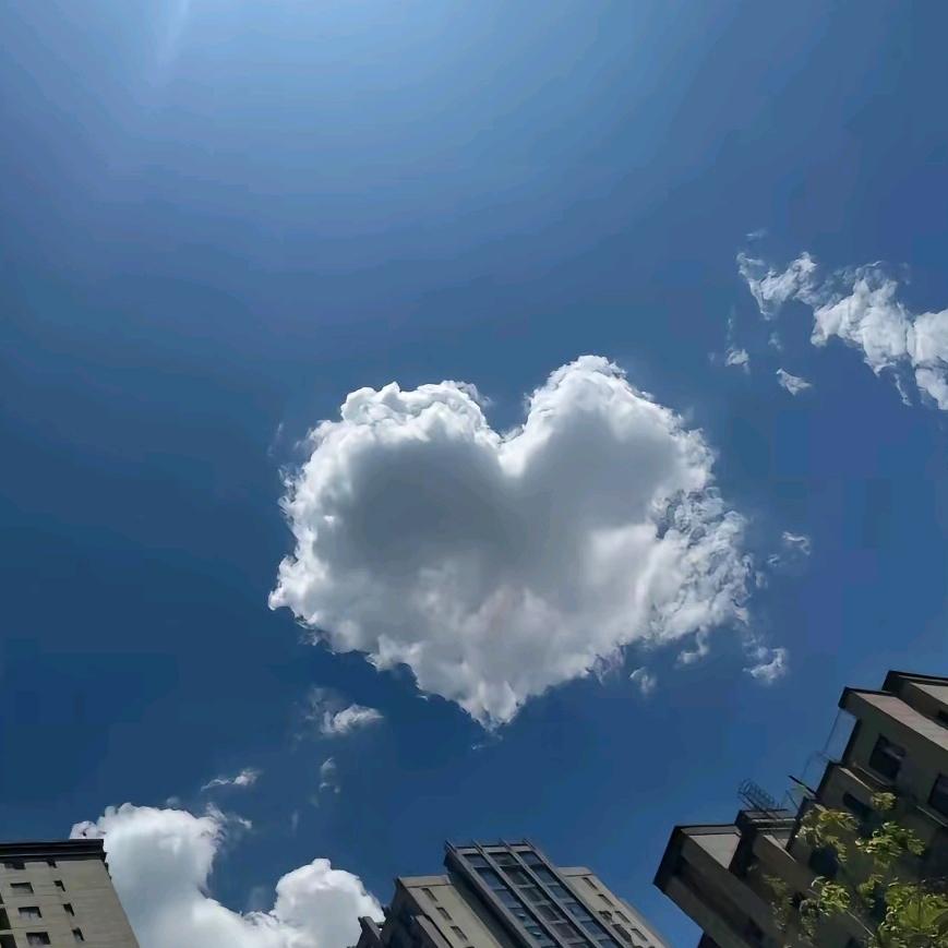 从你的世界路过❤️❤️❤️🌹🌹🌹