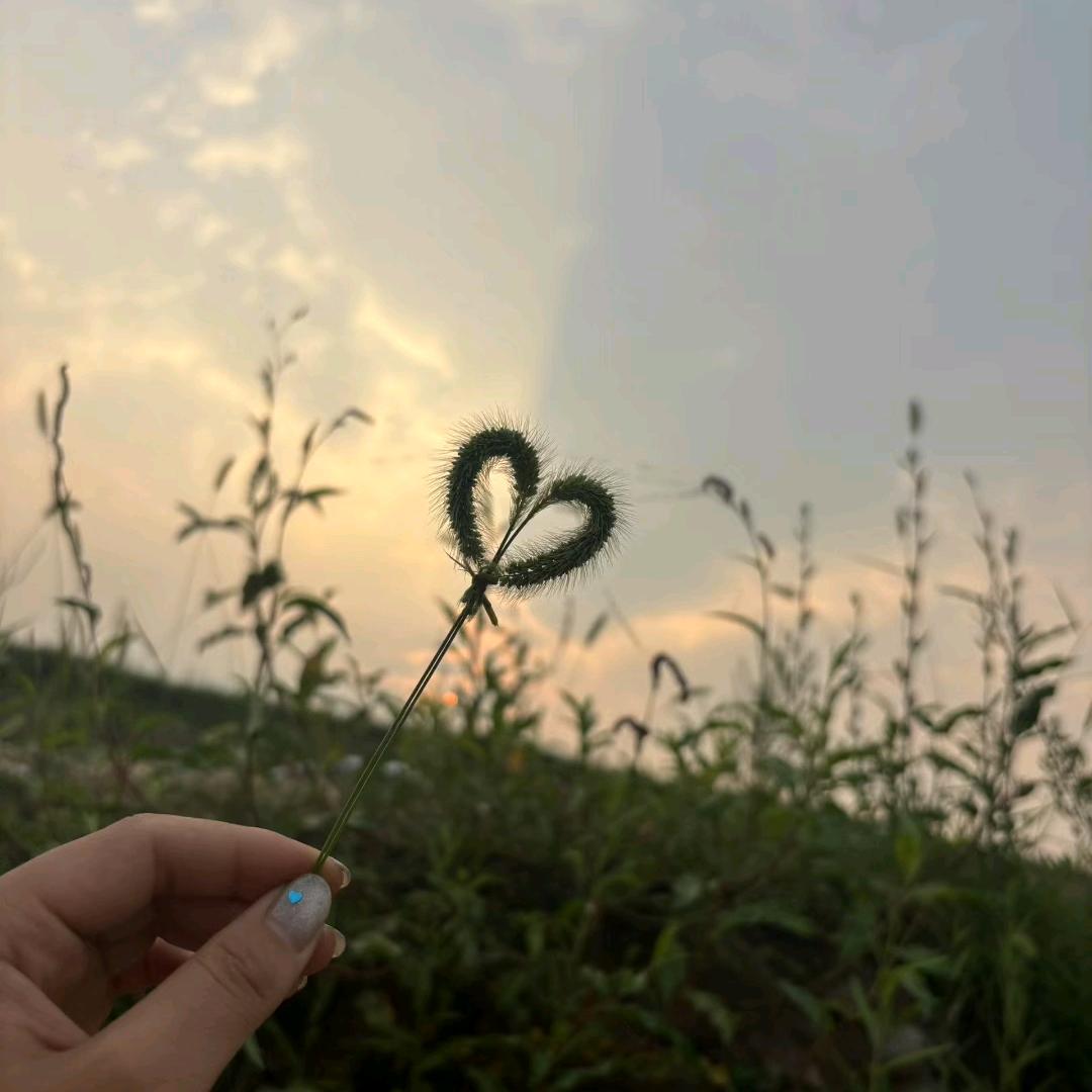 🧚‍♀️💃好运加满💃💝🧚‍♀️