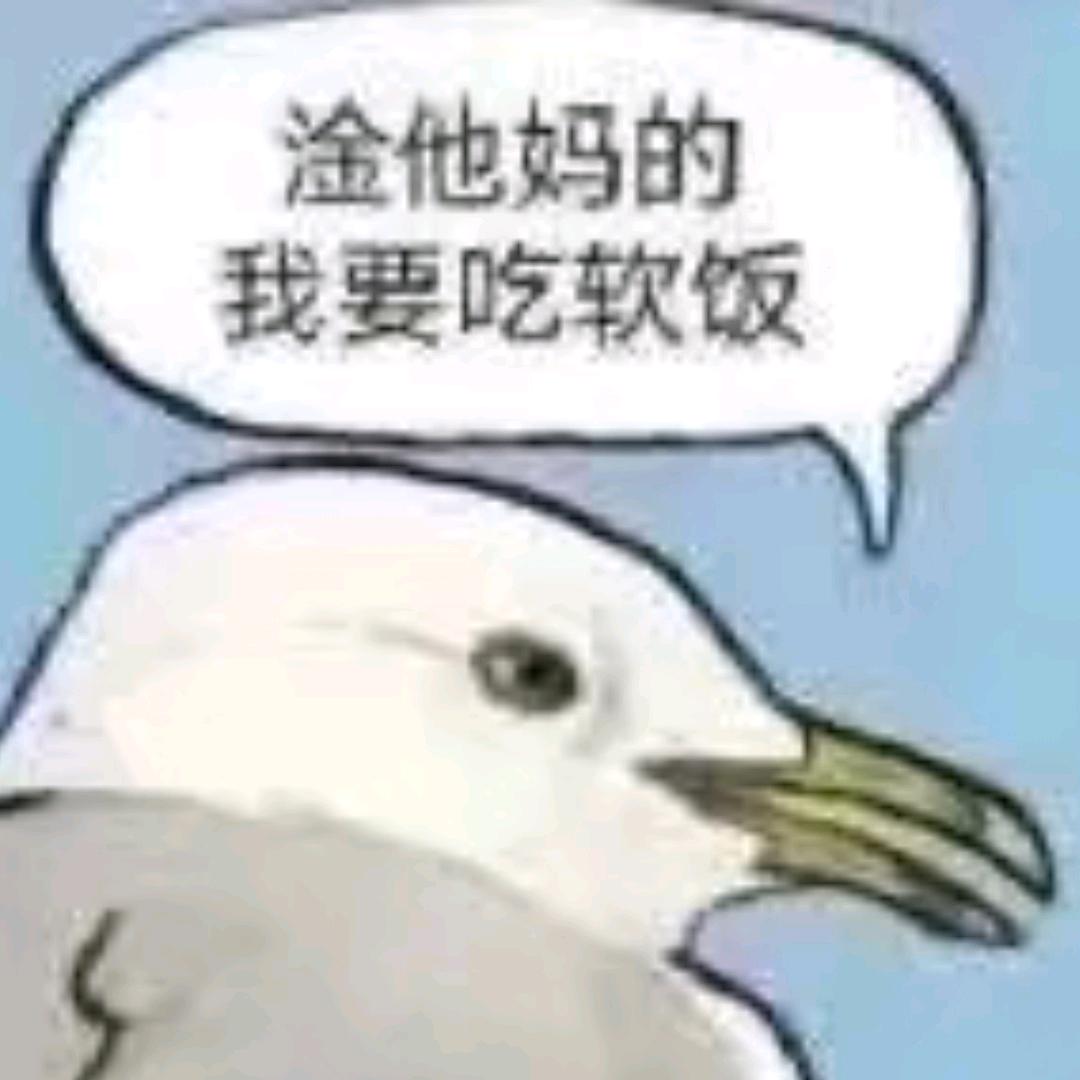去码头整点薯条🍟