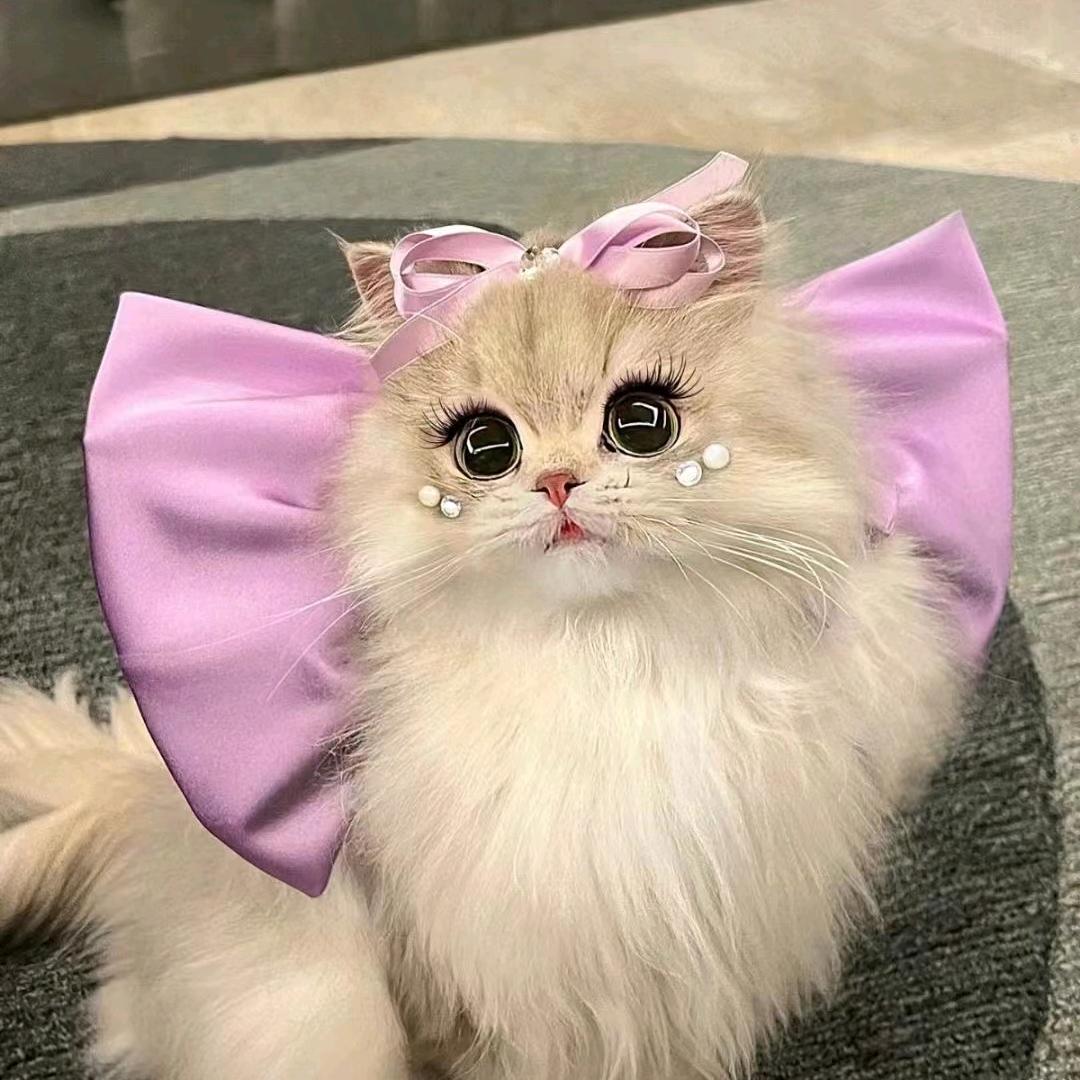 💞