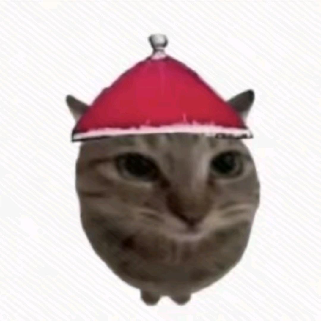 抽象猫