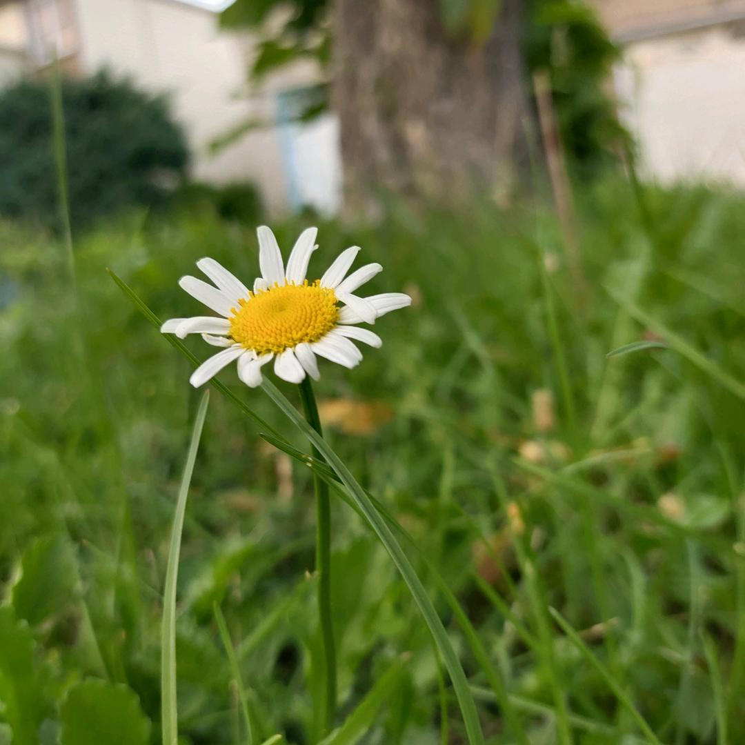 取个什么名字好呢