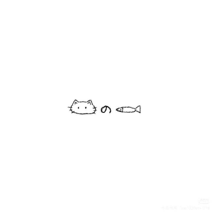 鱼块的假期
