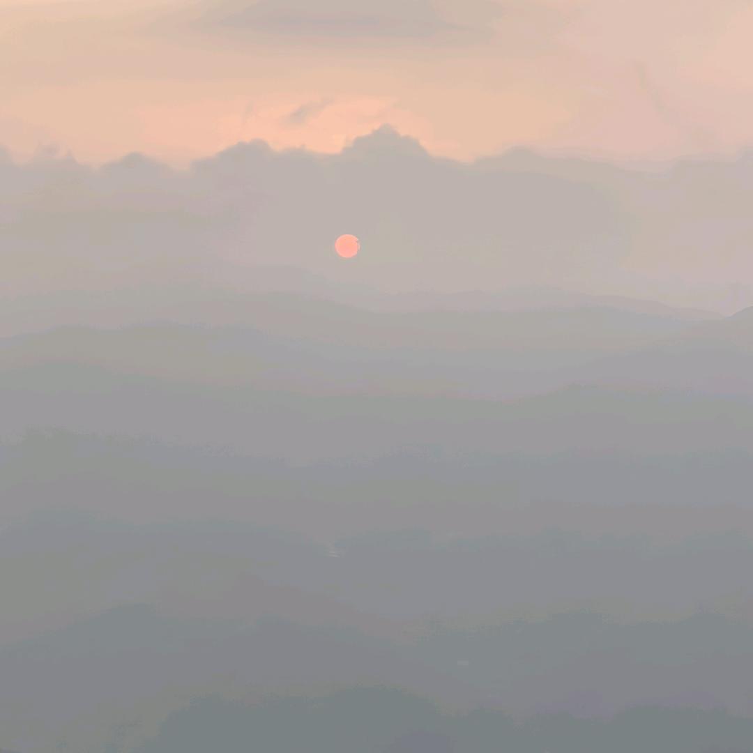 东来北往