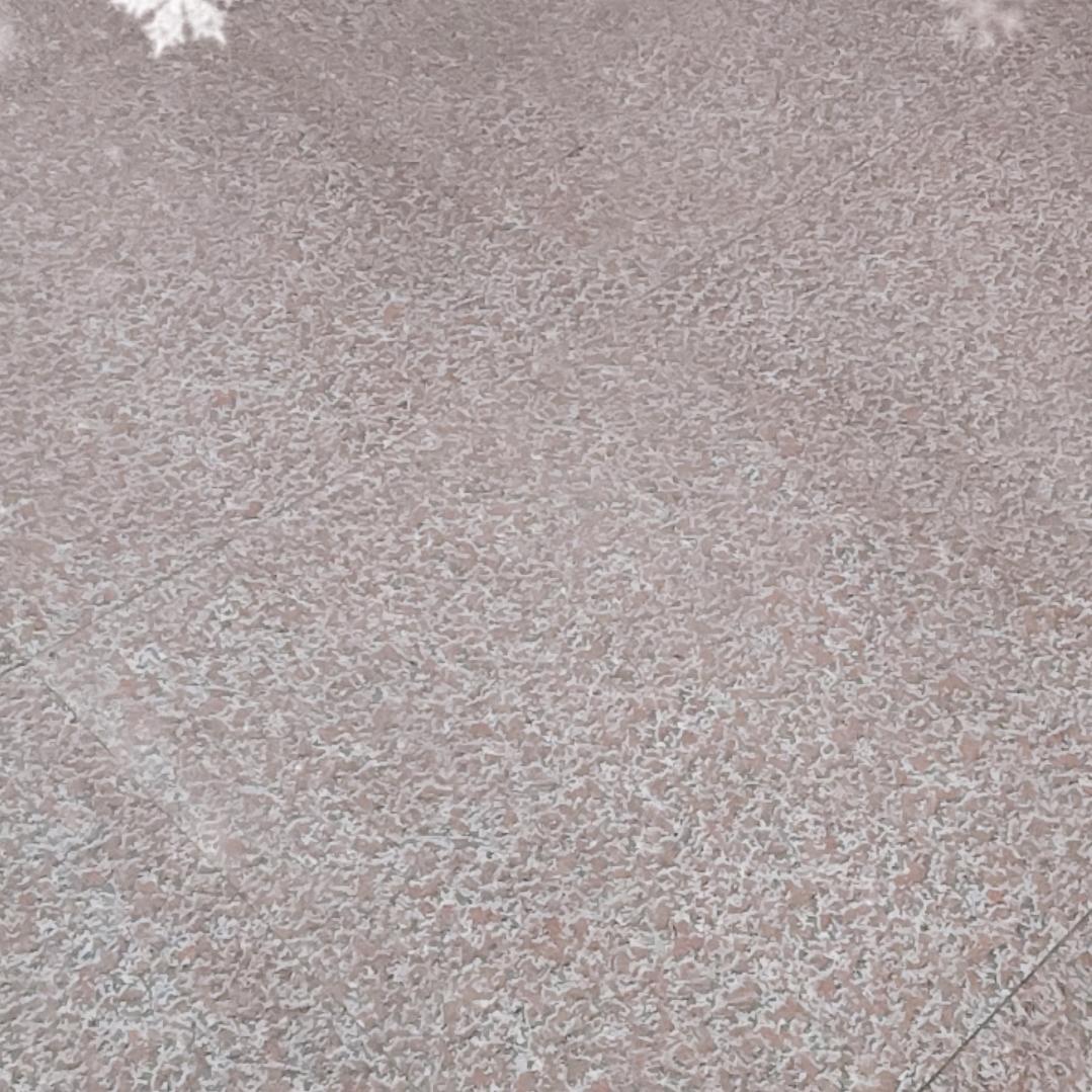 有缘人