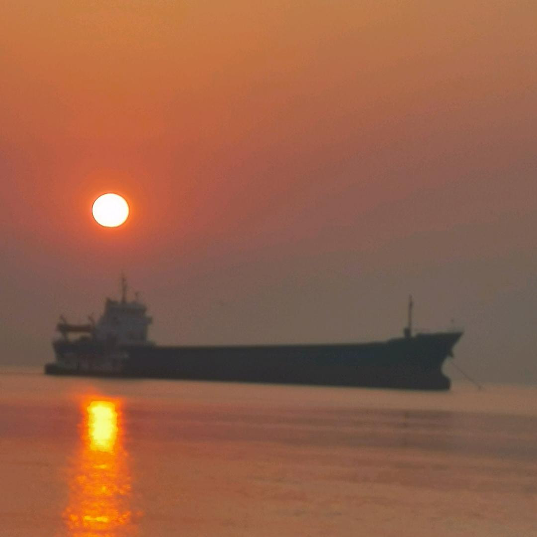 跟着太阳行
