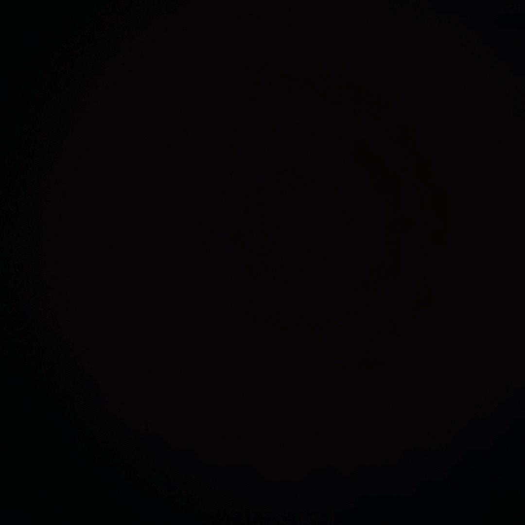 无畏♥向前
