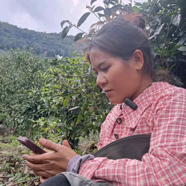 爱娟茶叶初制厂(茶山妹)