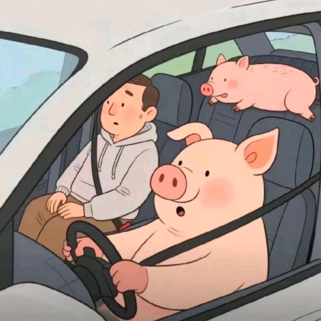 坐你副驾的第一个男人