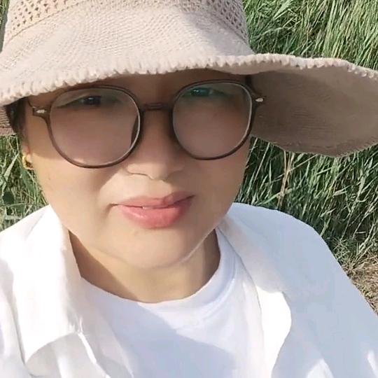 柿柿如意