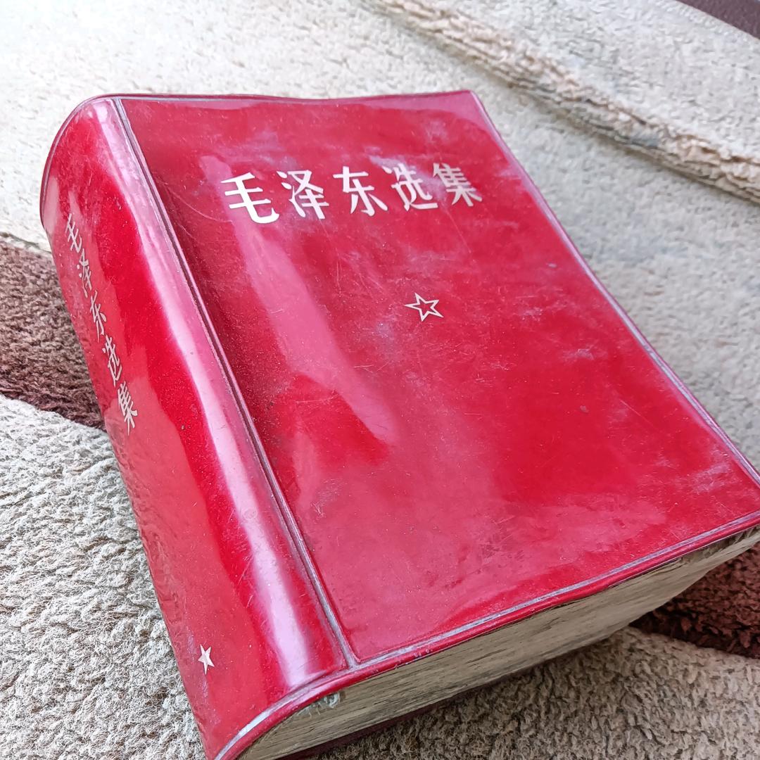 支佛宝