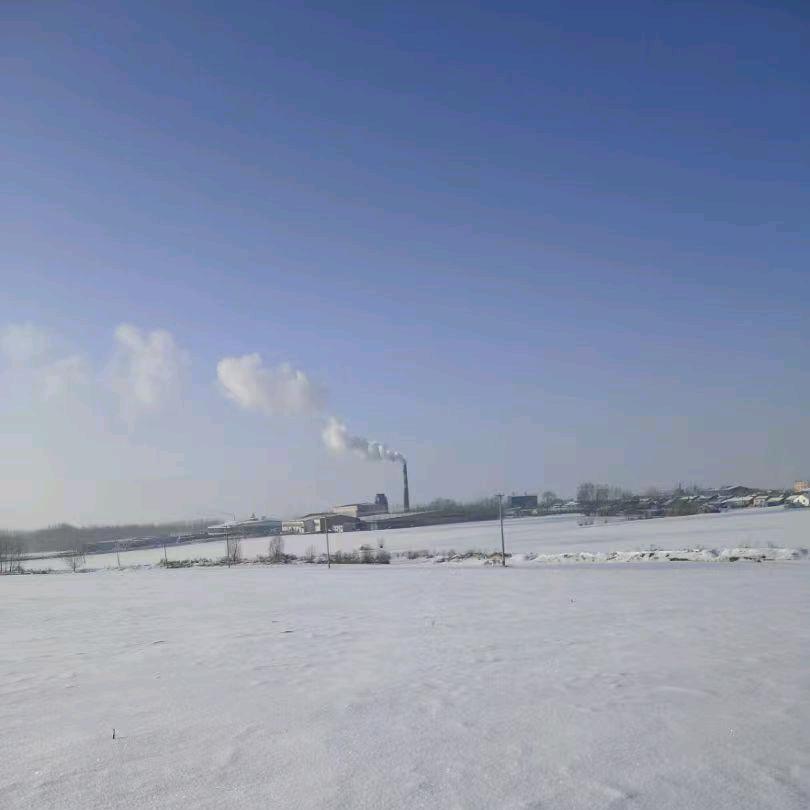 😊静  然  自  亮  大