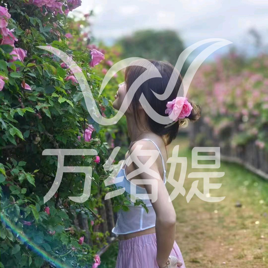 万络媞小海螺